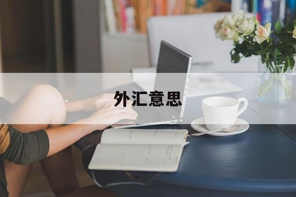 外汇意思(外汇意思是什么)